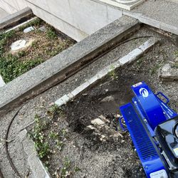 Stump Removal Services