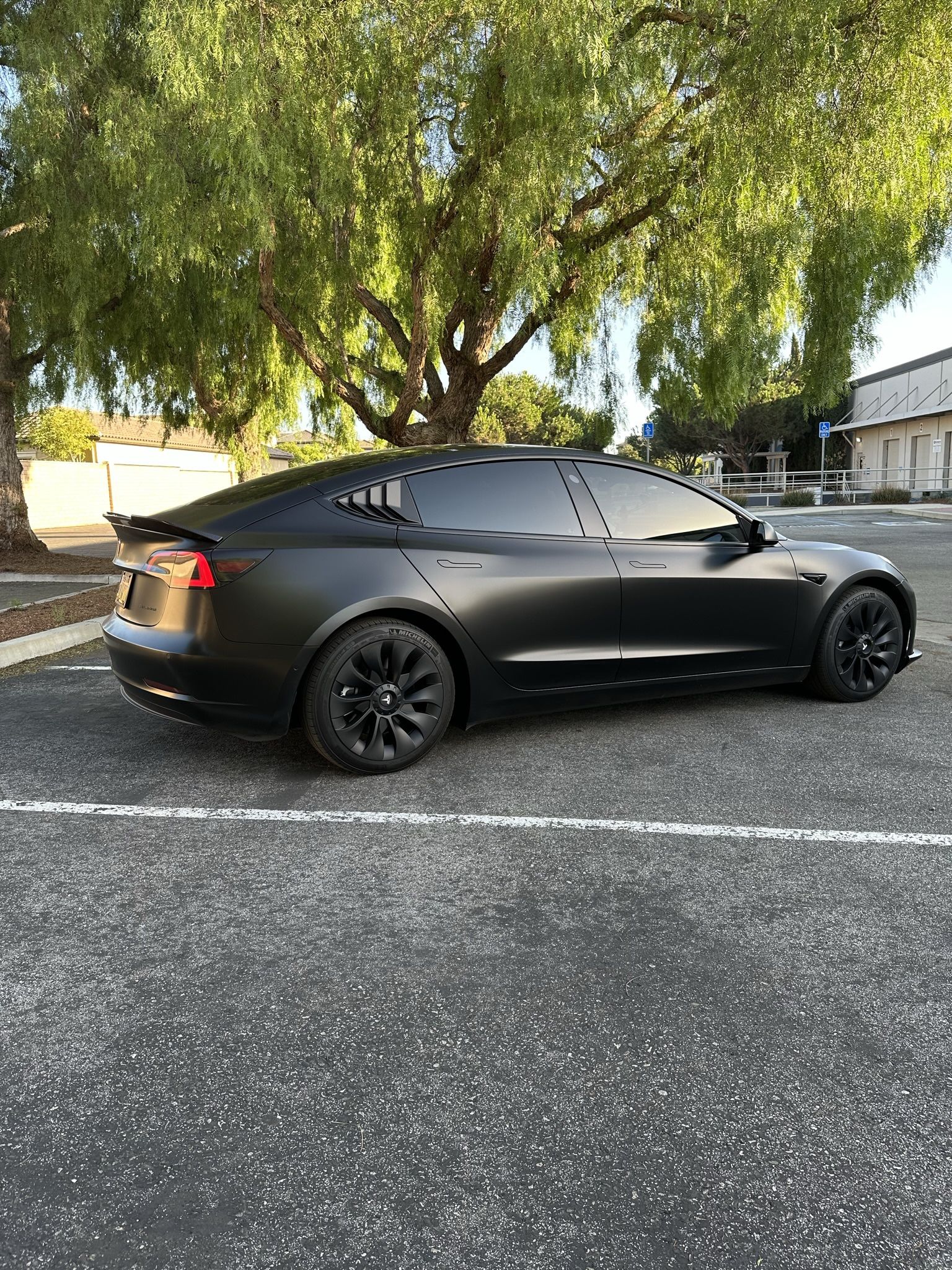 Car Customs