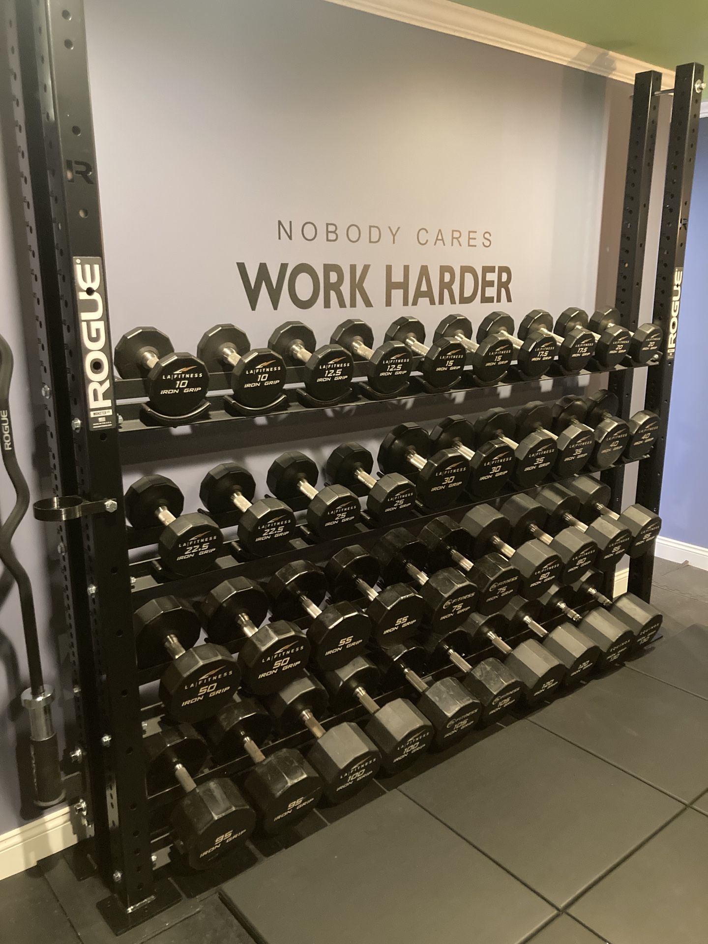 Iron Grip Brand Commercial Gym Quality Urethane Dumbbells