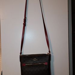 Purse/crossbody
