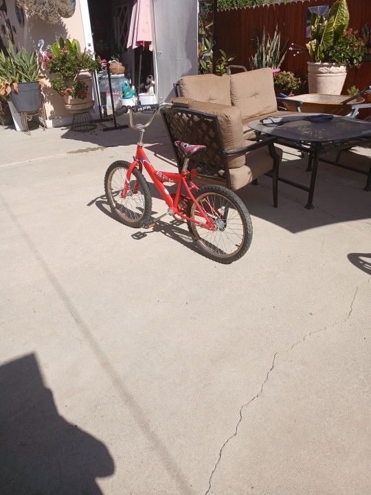 20" Bicycle