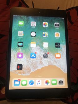 iPad mini 2