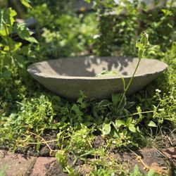 Concrete Bowl Planter
