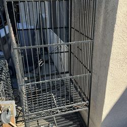 Parrot Cage