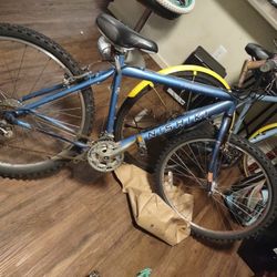 Vintage Nishiki Pueblo Bike 