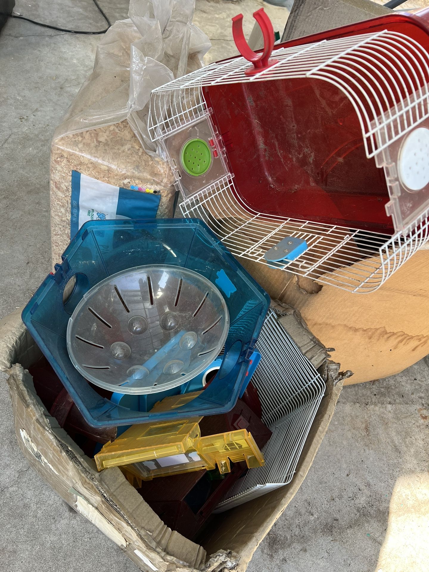 hamster Everything