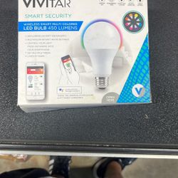 Multicolored Led Bulb