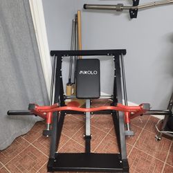 🏋️‍♂️ Mikolo Linear Row Machine SR06 – Excellent Condition!
💲400 (Firm)