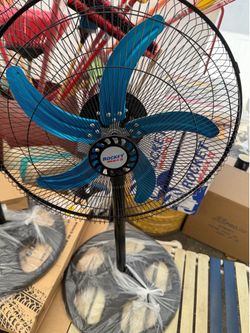 Fan