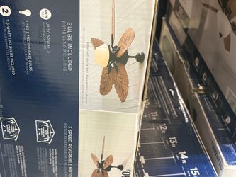 Nice fan
