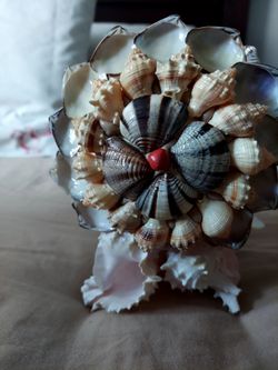 Shell napkins holder