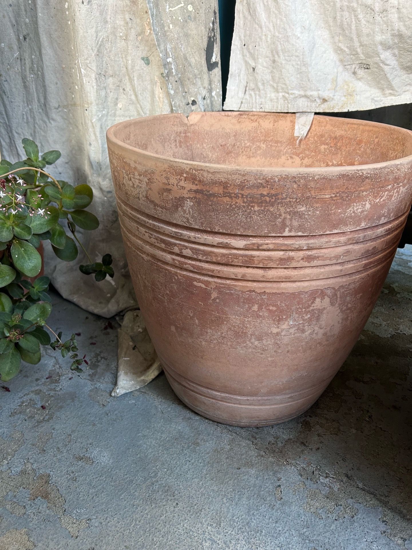 Pots