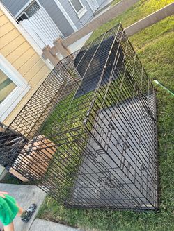 Dog kennel