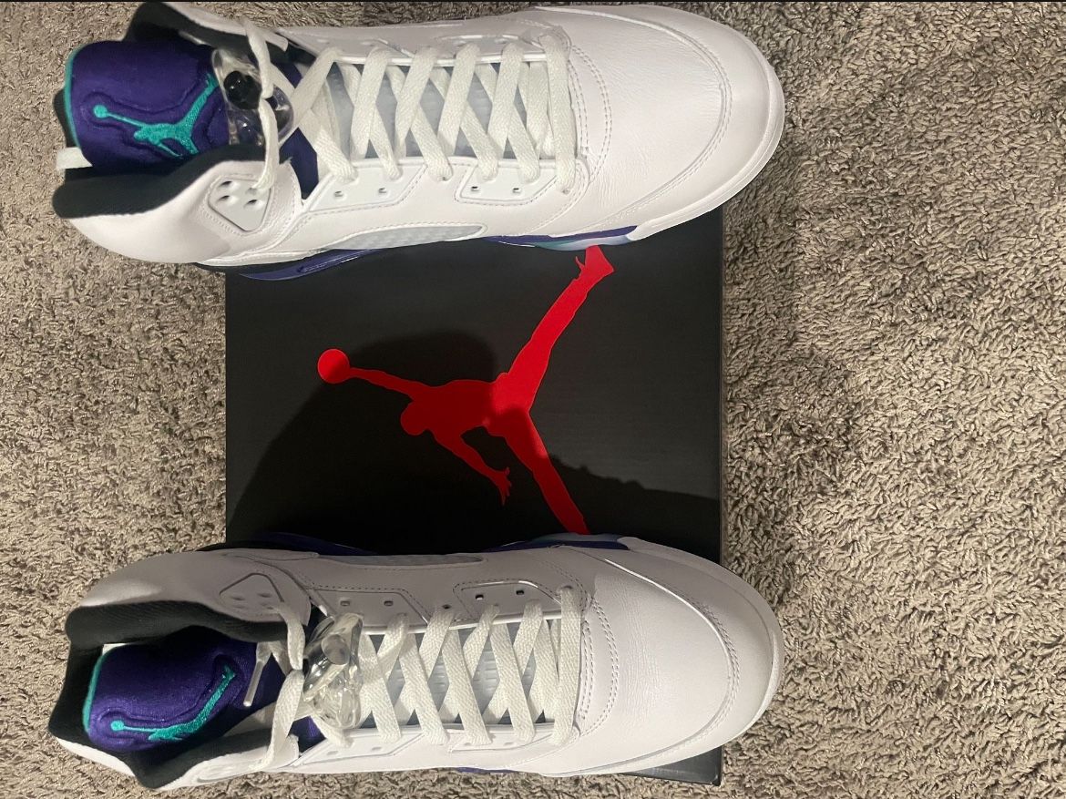 Air Jordan 5 Grapes
