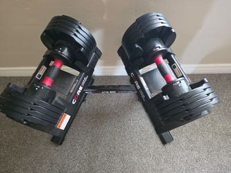 Adjustable Dumbbell Set