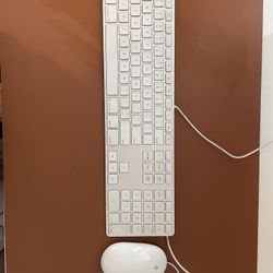 Apple Mouse And keyboard 
