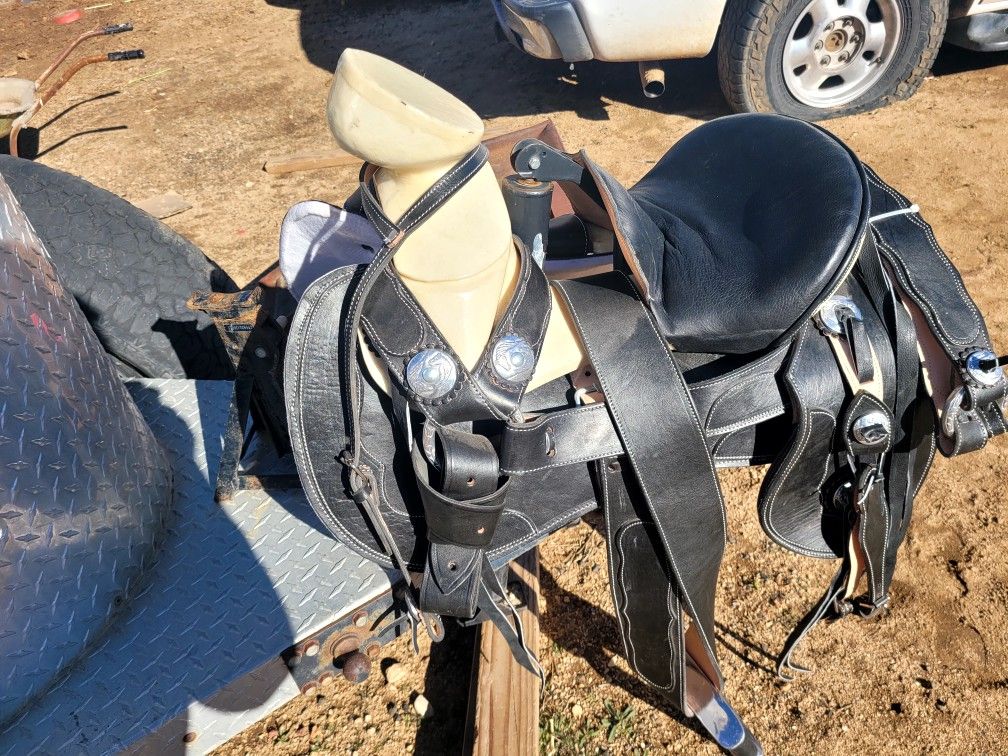 Montura Nueva Size 15