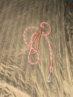 Heavy-Duty Rope Dog Leash & Matching Collar Bundle