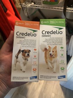 Flea fleas Comfortis credelio flea kill catego