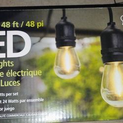 LED Indoor / Outdoor String Bulb Lights 