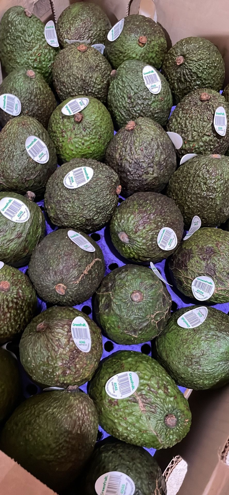 Hass Avocado - 3 for $1