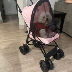Pet Gear Dog/Cat Stroller