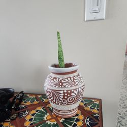 Snake Plant In Mexican Arts PLANTER
