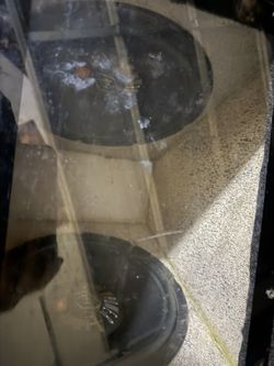 Woofers And Amp