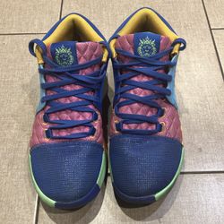 Nike basketball LBJ Witness