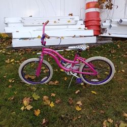 A Pink Lady Bug   Girl's Bike 