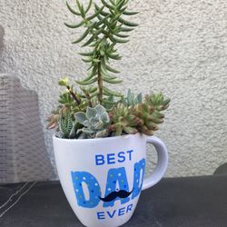 Best Dad Coffee Mug With Succulents Plant  