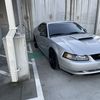 Mustanglover