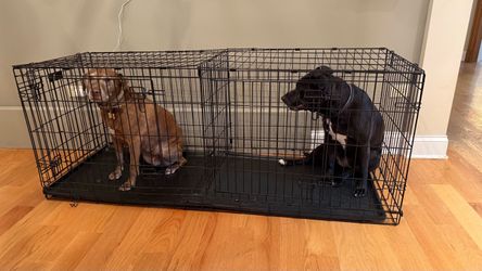 Double wide Dog Crate