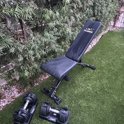 Workout Bench and Adjustable Weights