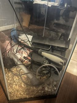 Fish Tank