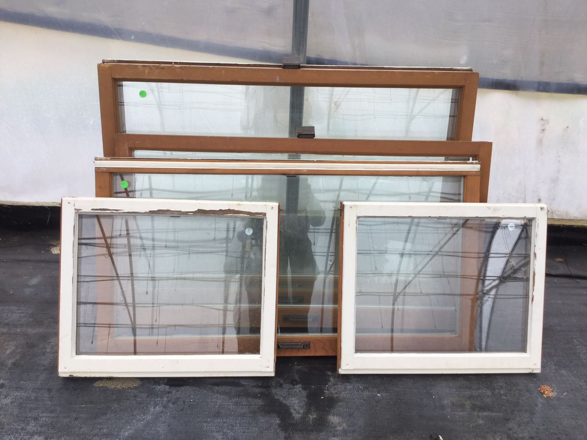 Assorted old fir windows. Stained on inside - Painted white on outside