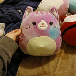 Squishmallows 