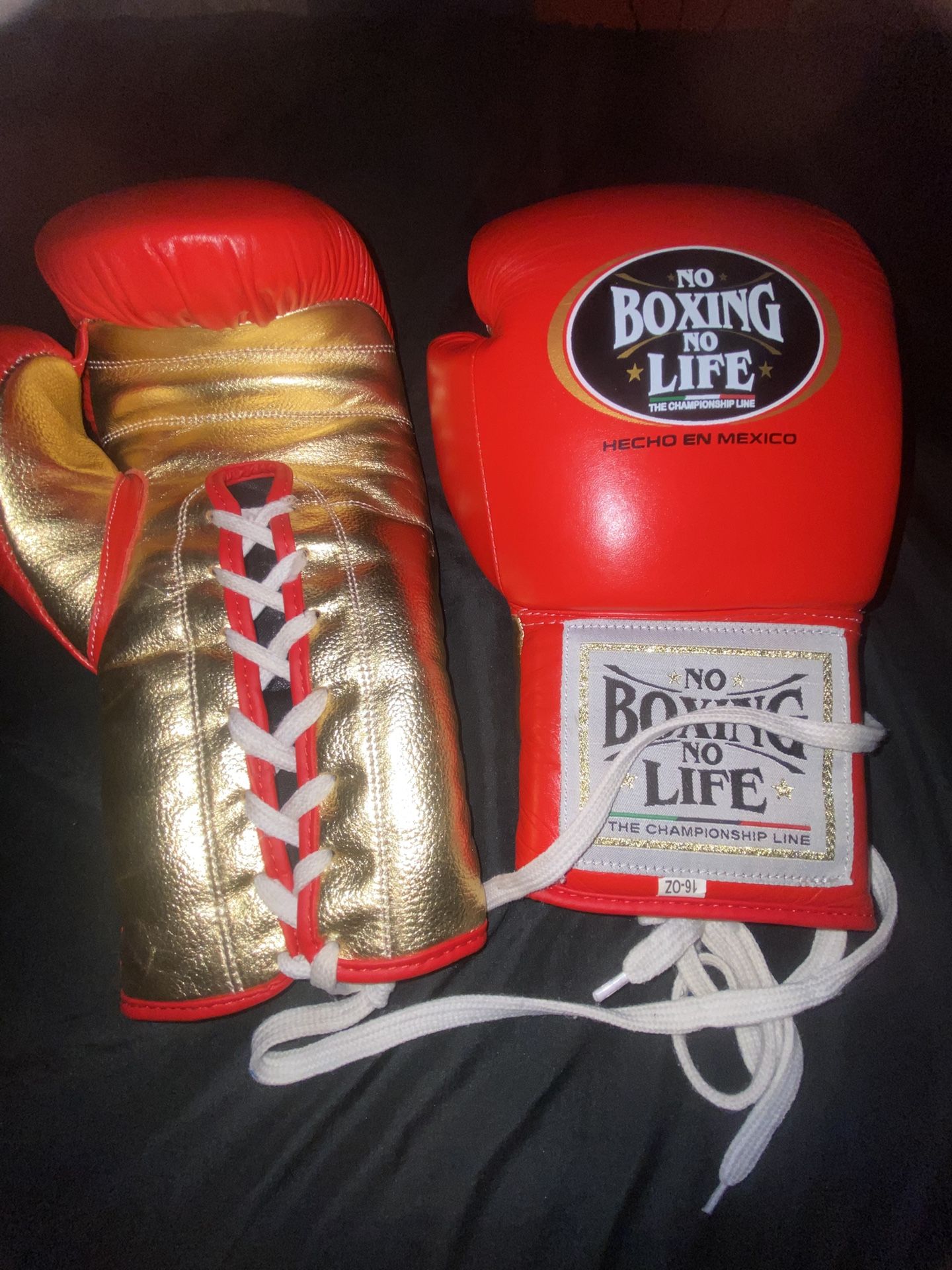 Boxing Gloves No Boxing No Life