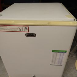 Mini Freezer 
