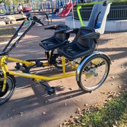 Worksman Electric Tricycle 