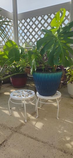 2 plant stands