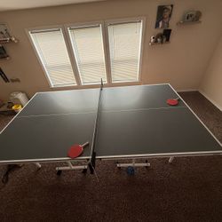 Ping pong Table 
