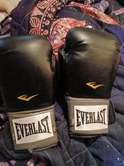 Everlast boxing gloves