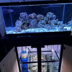 45 Gallon Salt Water Tank