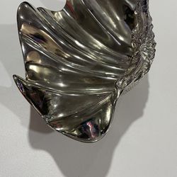 Decorative Seashell