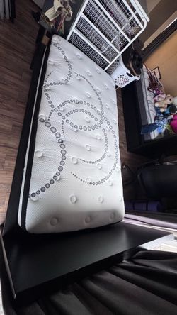 Free Twin size mattress and bed frame