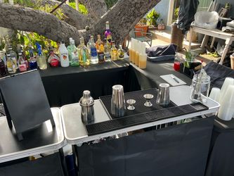 Entire Complete Bartending Setup