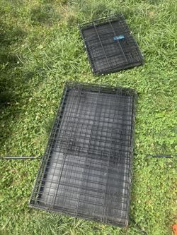 Dog Cages