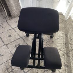 Ergonomic Desk Chair