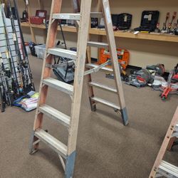 Werner 6 Foot Double Rung Fiberglass Ladder